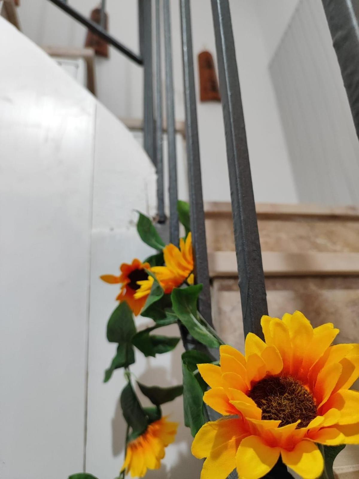 Casa Vacanze Con Giardino I Girasoli - Cin It 09006 - 9 C 2000 R4042- Sorso Luaran gambar